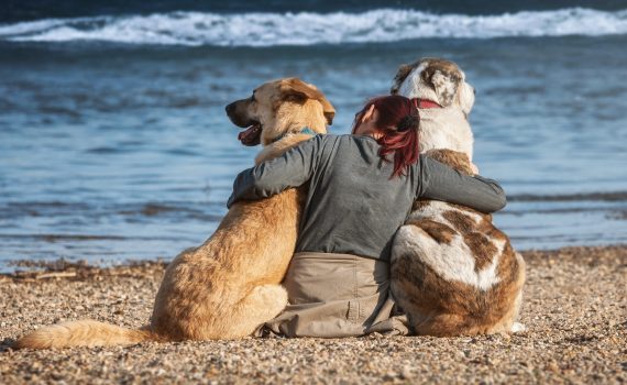Girl and two dogs on a beach